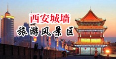 考逼毛片美女中国陕西-西安城墙旅游风景区